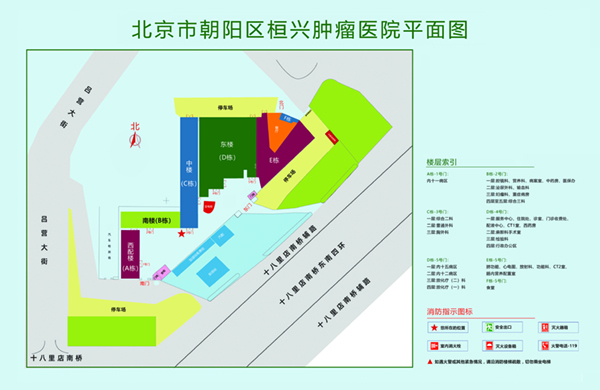 嗯啊操我视频北京市朝阳区桓兴肿瘤医院平面图